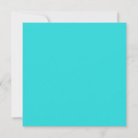 Medium Turquoise Solid Colour