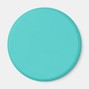 Medium Turquoise Solid Colour Magnet