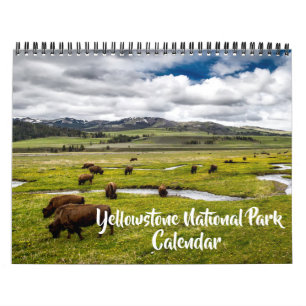 Medium Yellowstone Park Calendar