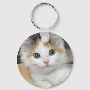 Mediumhair Calico Shelter Kitten Keychain