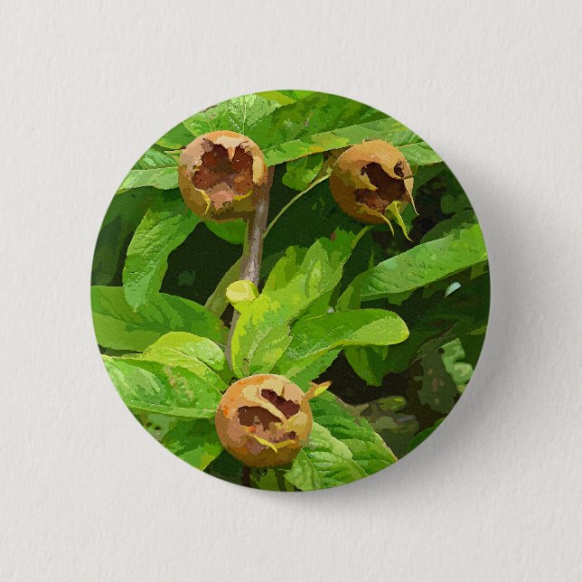 MEDLAR FRUIT 6 CM ROUND BADGE (Front)