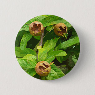 MEDLAR FRUIT 6 CM ROUND BADGE