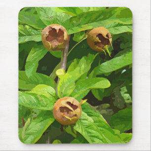 MEDLAR FRUIT MOUSE MAT