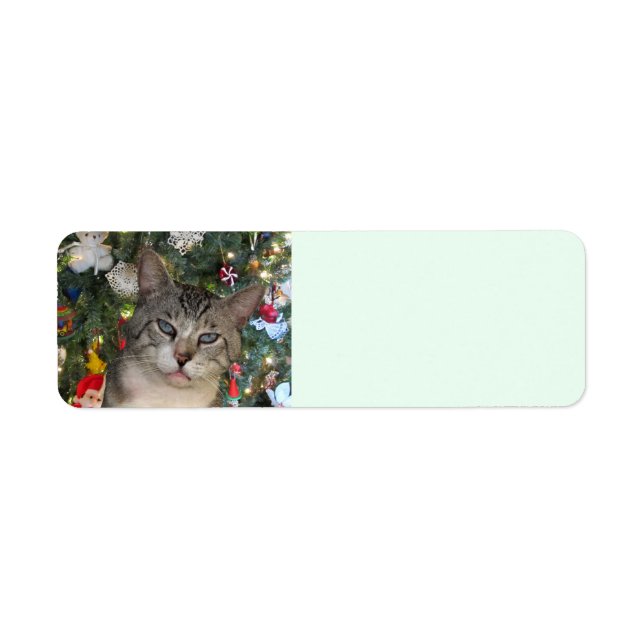 Meece Cat Merry Christmas Return Address Labels (Front)