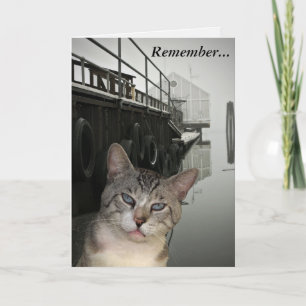 Meece The Cat Encouragement Greeting Card