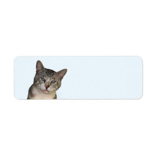 Meece The Cat Return Address Labels