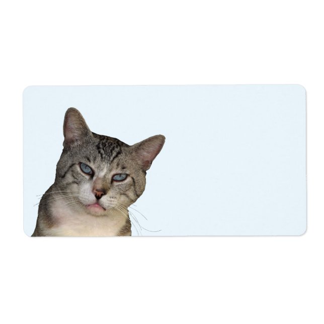 Meece The Cat Shipping Labels (Front)