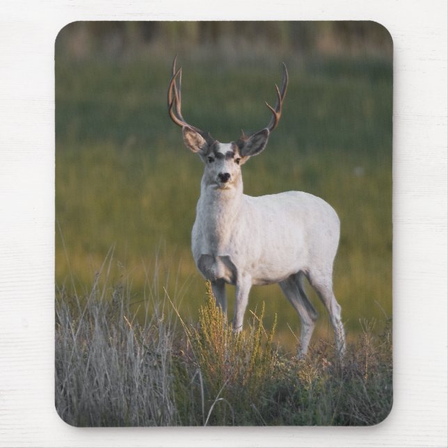 Meeker's White Deer 2 Mouse Mat (Front)