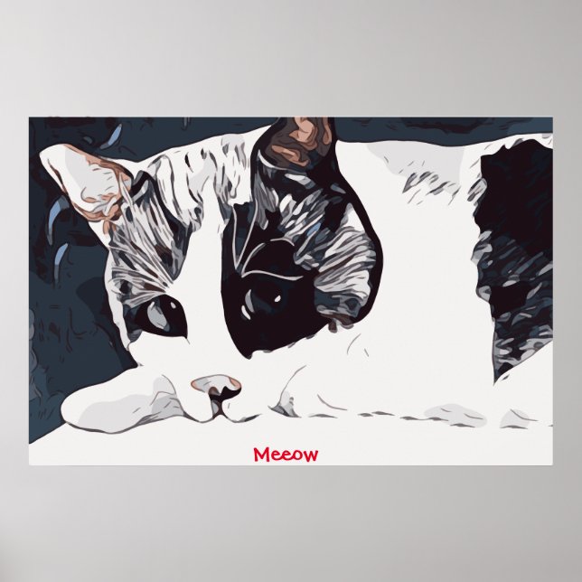 Meeow Cat  Poster (Front)