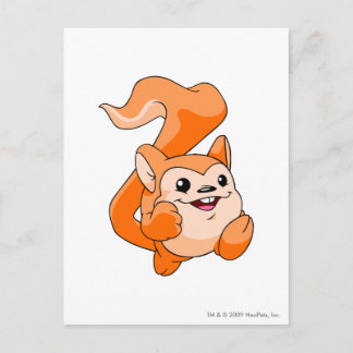 Meerca Orange Postcard