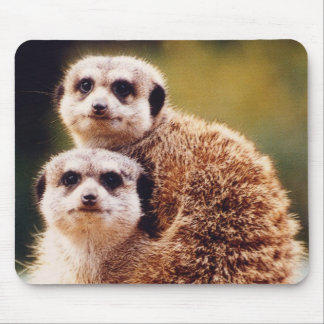 meercat mouse mat
