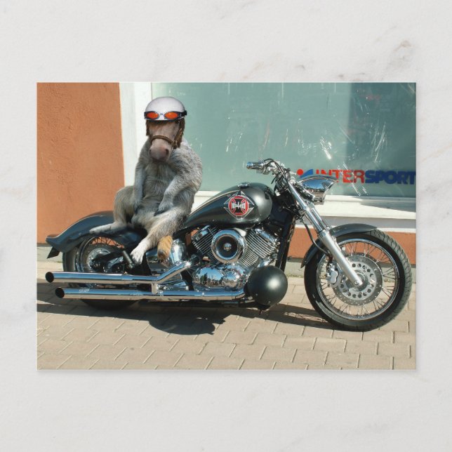 Meerhorse biker postcard (Front)