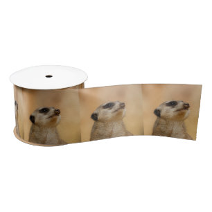 Meerkat20151002 Satin Ribbon