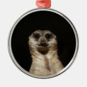 Meerkat20151010 Metal Tree Decoration