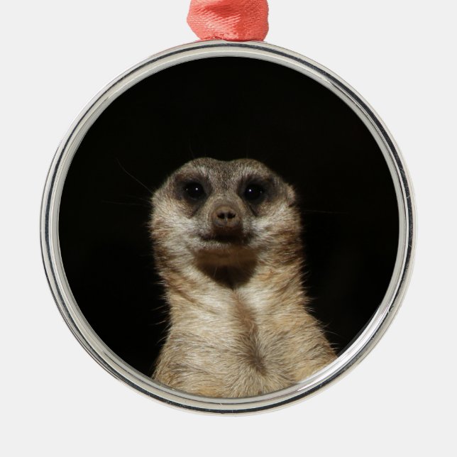 Meerkat20151010 Metal Tree Decoration (Front)