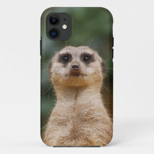 Meerkat 001 iPhone 11 case