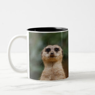 Meerkat 001 Two-Tone coffee mug