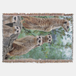 Meerkat_003 Throw Blanket