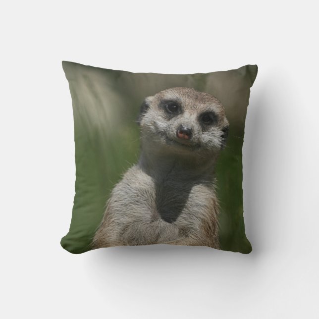 Meerkat 004 cushion (Front)