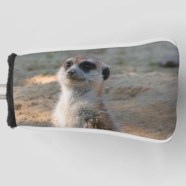Meerkat 004 golf head cover (Front)