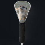 Meerkat 004 golf head cover<br><div class="desc">Photo portrait of a lovely meerkat</div>