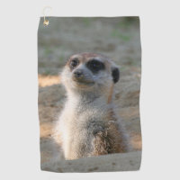 Meerkat 004
