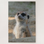 Meerkat 004 jigsaw puzzle<br><div class="desc">Photo portrait of a lovely meerkat</div>
