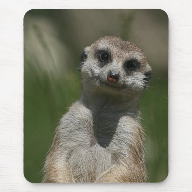 Meerkat 004 mouse mat (Front)
