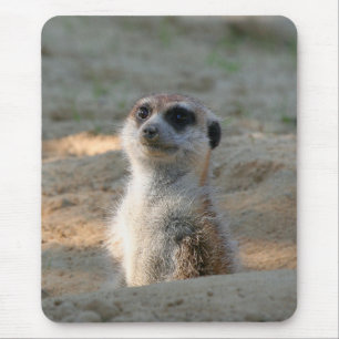 Meerkat 004 mouse mat
