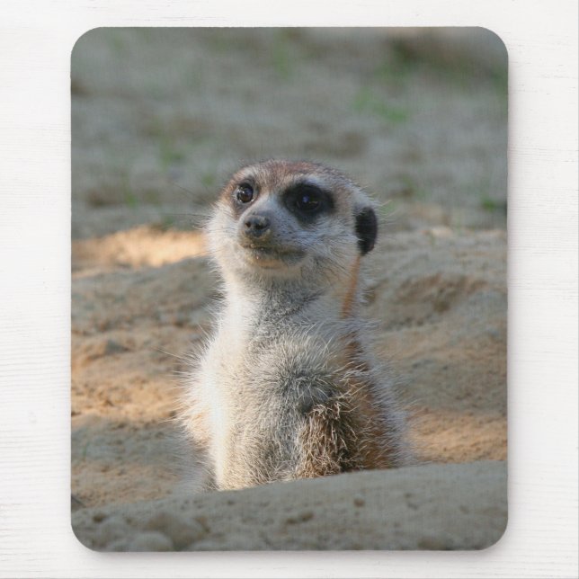 Meerkat 004 mouse mat (Front)