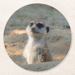Meerkat 004 round paper coaster