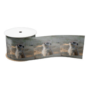Meerkat 004 satin ribbon