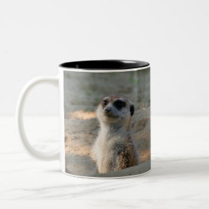 Meerkat 004 Two-Tone coffee mug