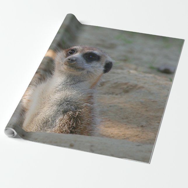 Meerkat 004 wrapping paper (Unrolled)