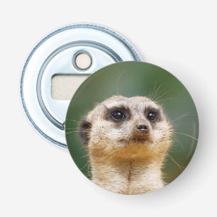 Meerkat 005 bottle opener