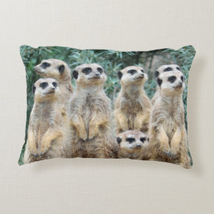 Meerkat 006 decorative cushion