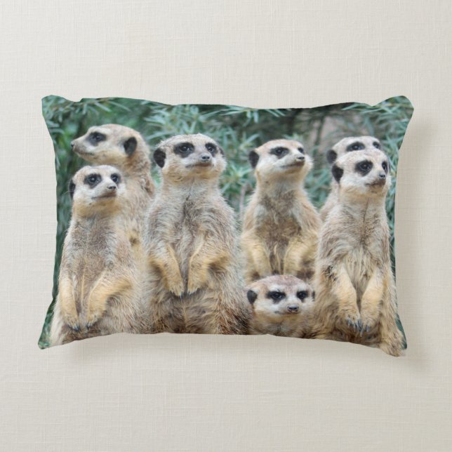 Meerkat 006 decorative cushion (Back)