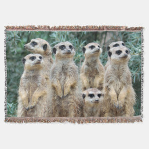 Meerkat 006 throw blanket