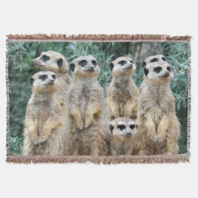 Meerkat 006 throw blanket (Front)