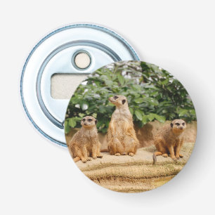 Meerkat 008 bottle opener