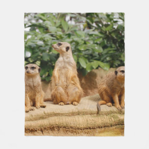 Meerkat 008 fleece blanket