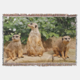 Meerkat 008 throw blanket