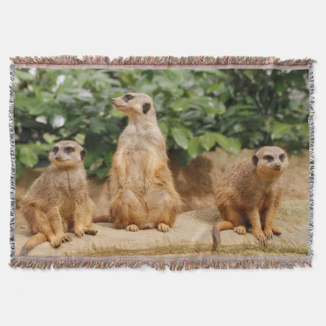 Meerkat 008 throw blanket (Front)