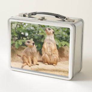 Meerkat 009 metal lunch box