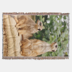 Meerkat 009 throw blanket