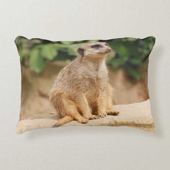 Meerkat 010 decorative cushion (Front)