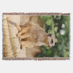 Meerkat 010 throw blanket