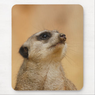 Meerkat 011 mouse mat