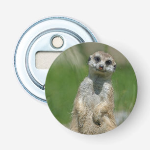 Meerkat 013 bottle opener