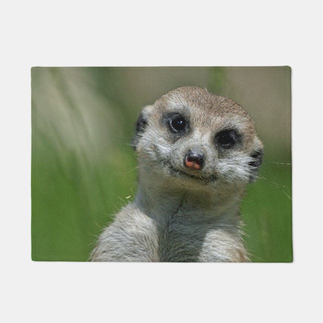 Meerkat 013 doormat (Front)